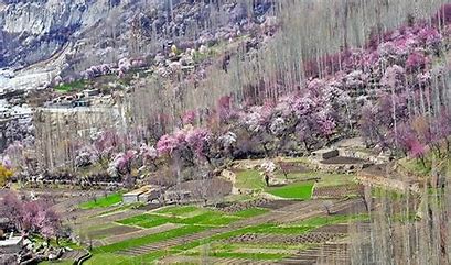 Skardu Velley Blossom Tours
 summit ridge